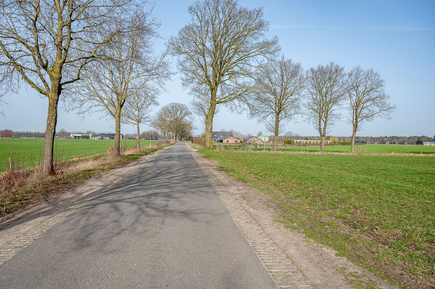 Semi-detached farmhouse with pony stable and meadow in Zelhem — 56