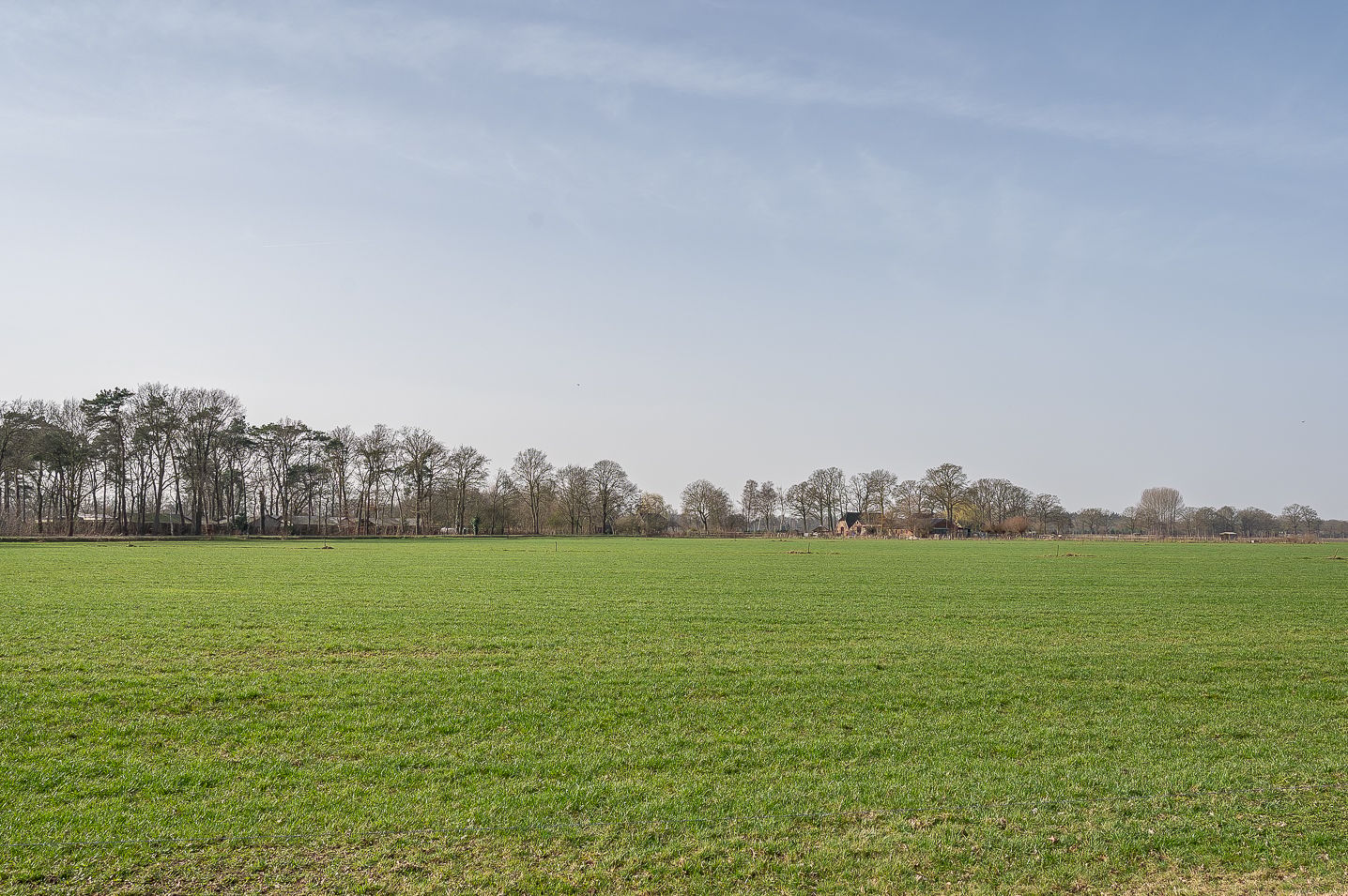 Semi-detached farmhouse with pony stable and meadow in Zelhem — 57