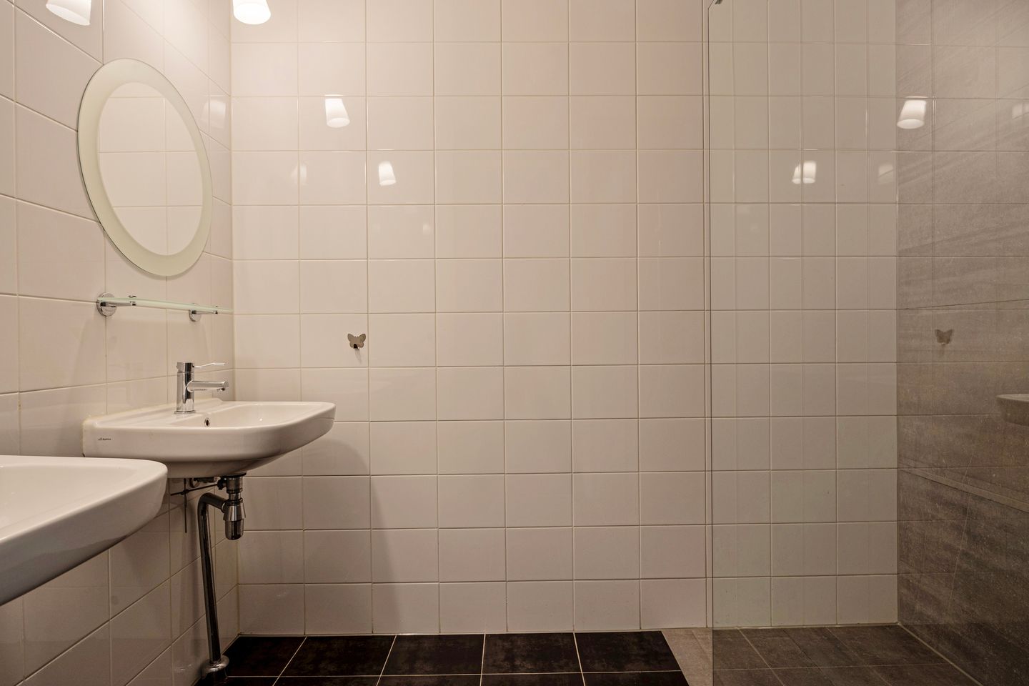 Foto 29 van Professor de Moorplein 546