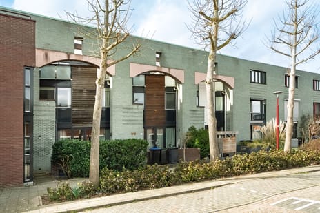 undefined main image