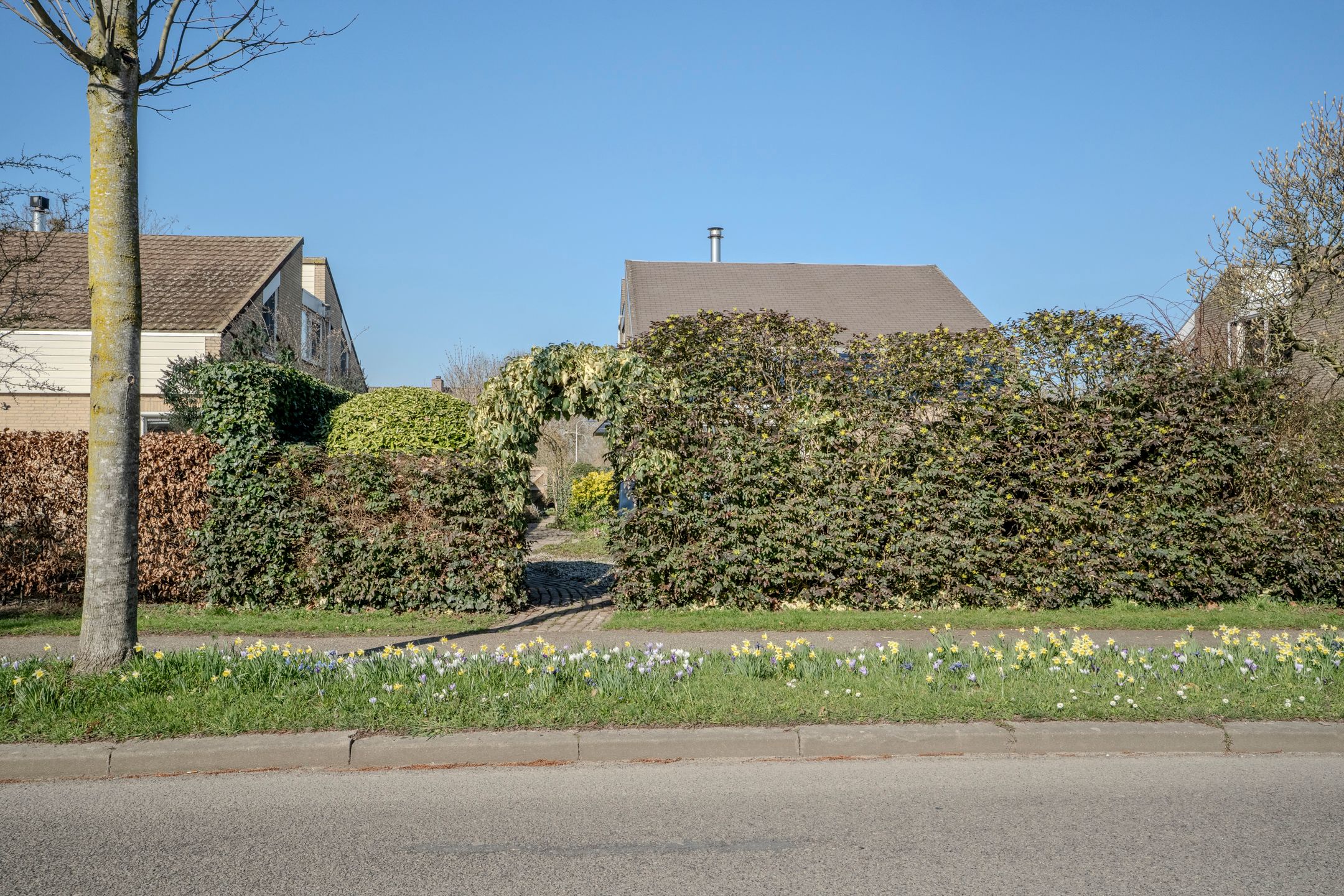 Spacious detached home with 216m² living space in a green location — 37