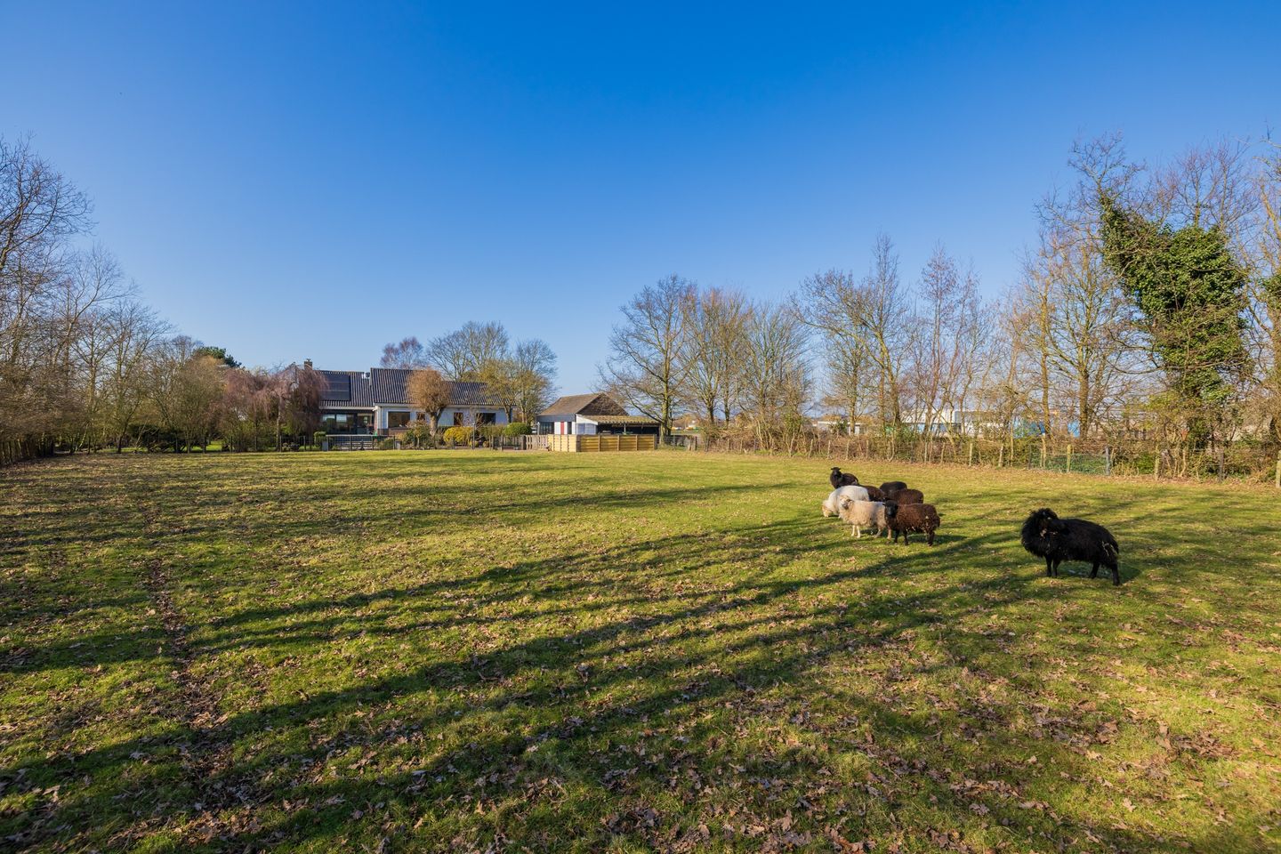 Foto 5 van Maandagsewetering 196