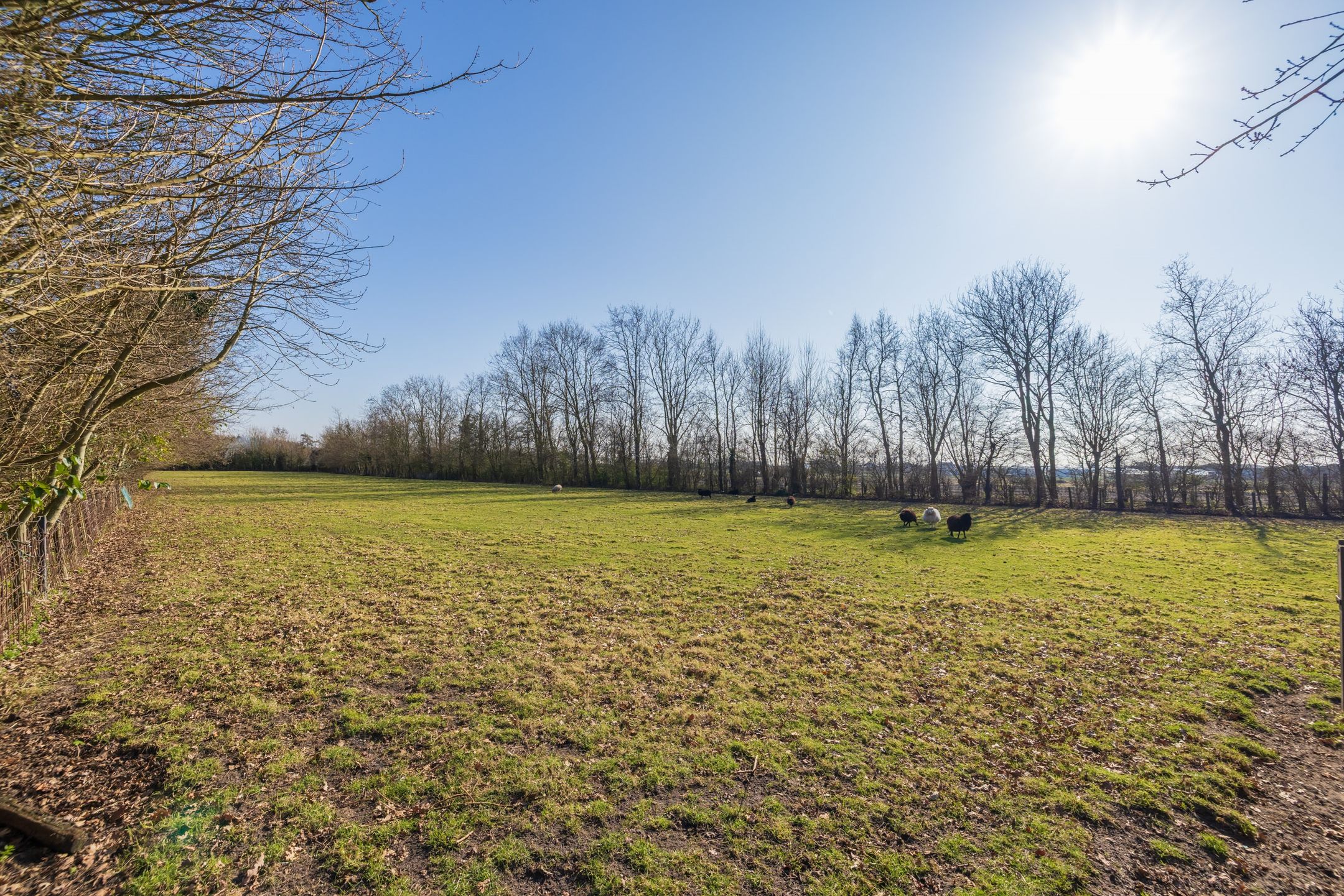 Foto 39 van Maandagsewetering 196