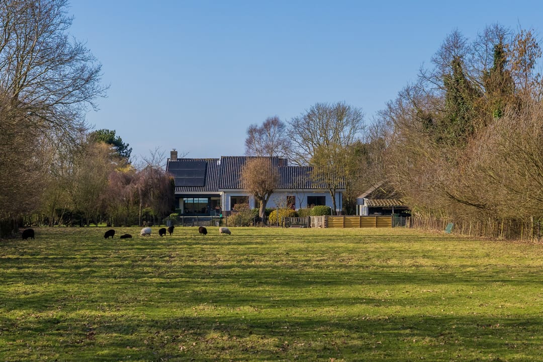 Foto 41 van Maandagsewetering 196