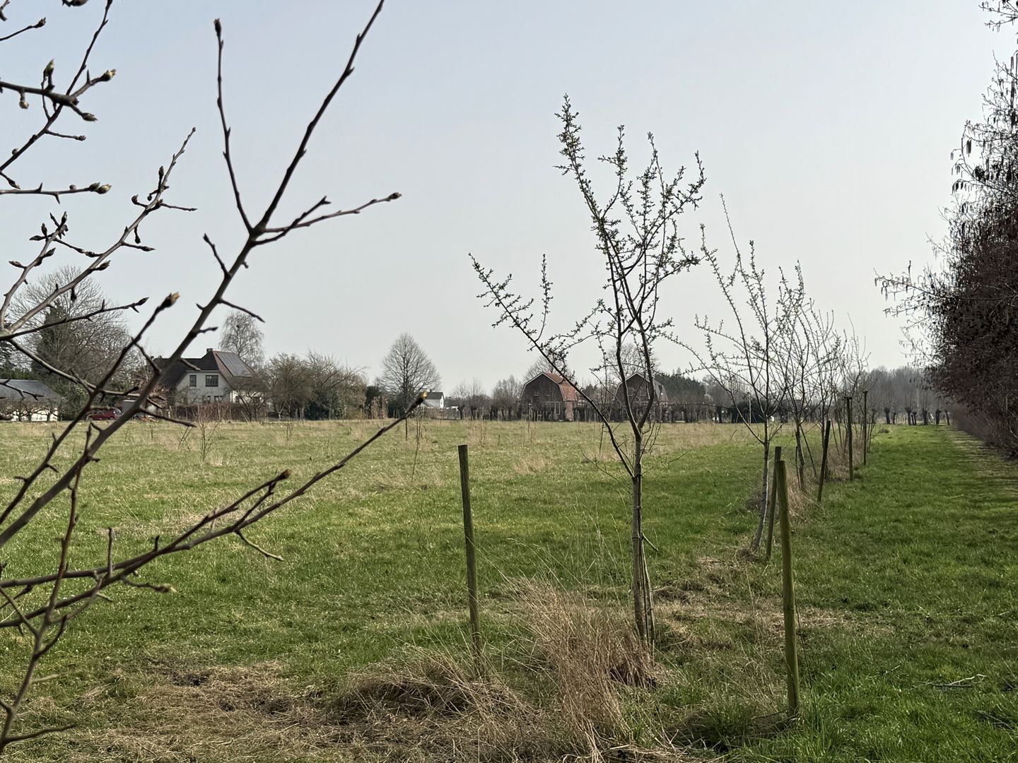 Bekijk foto 4 van Gerestraat