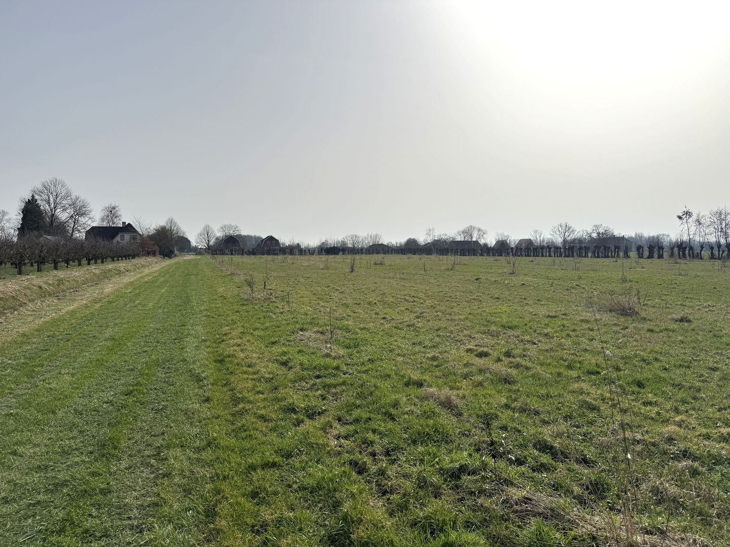 Bekijk foto 5 van Gerestraat