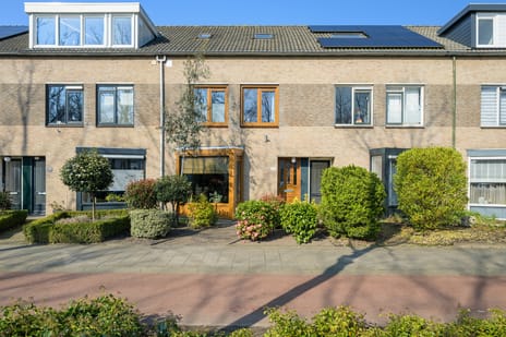 Schoonhout thumbnail