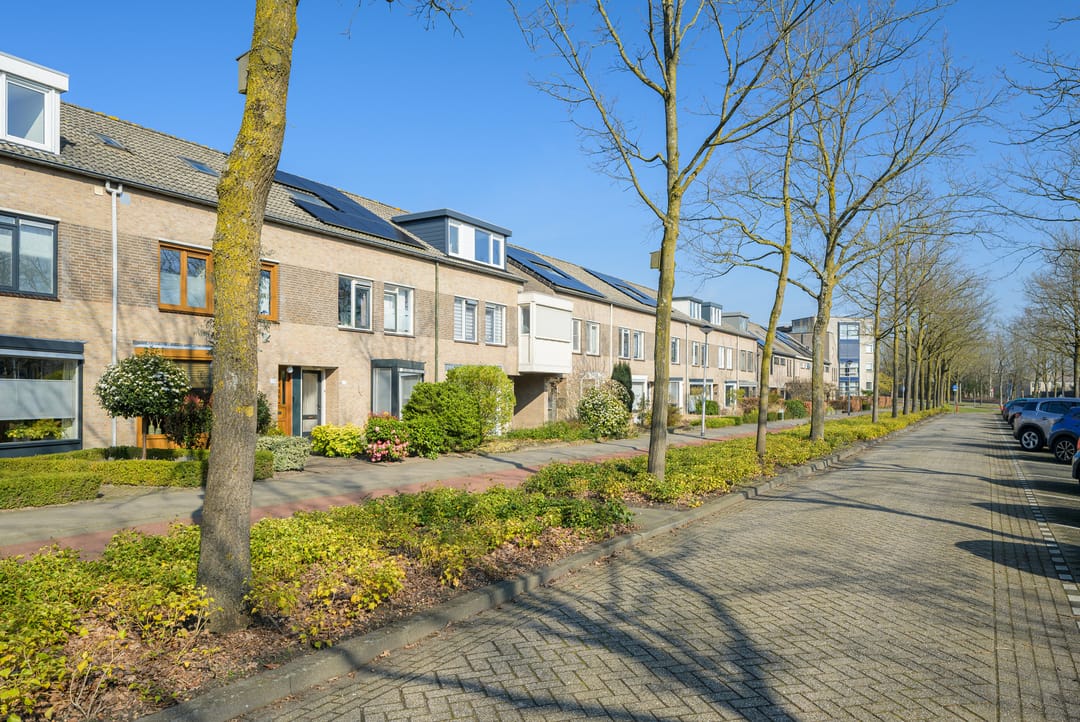 Photo 58 of Schoonhout 204