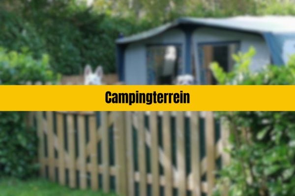 Bekijk foto 3 van Dorpsstraat 48