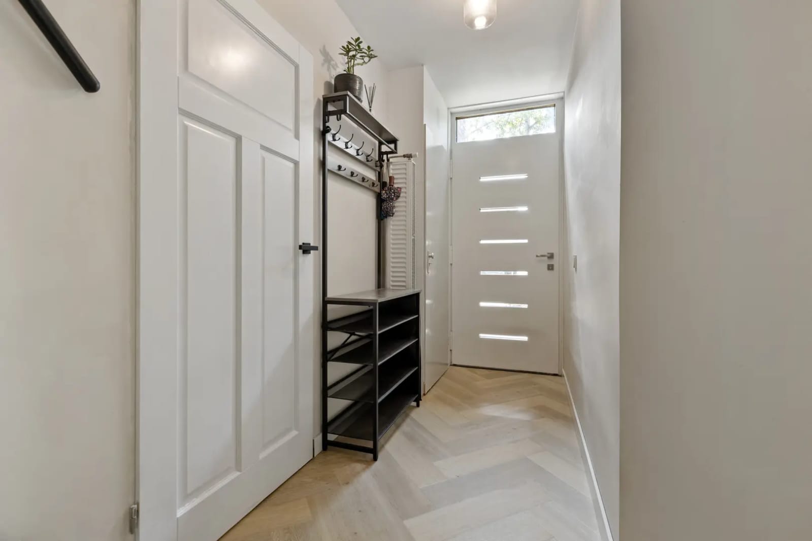 Foto 12 van Kleefkruid 74