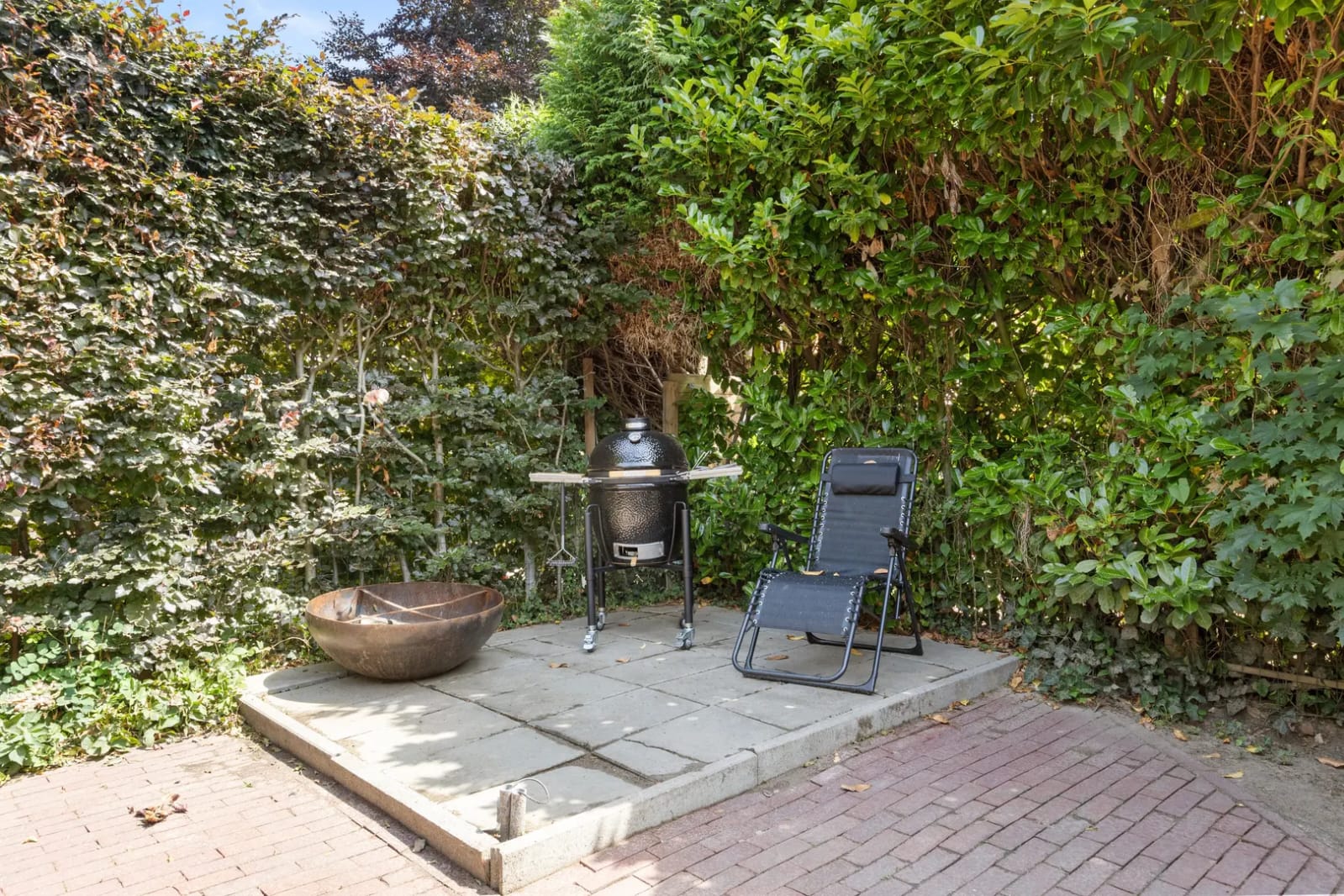 Foto 24 van Kleefkruid 74