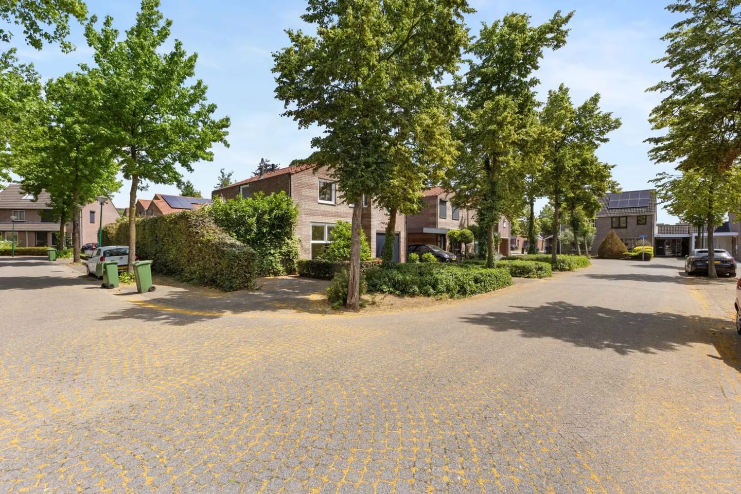 Foto 25 van Kleefkruid 74