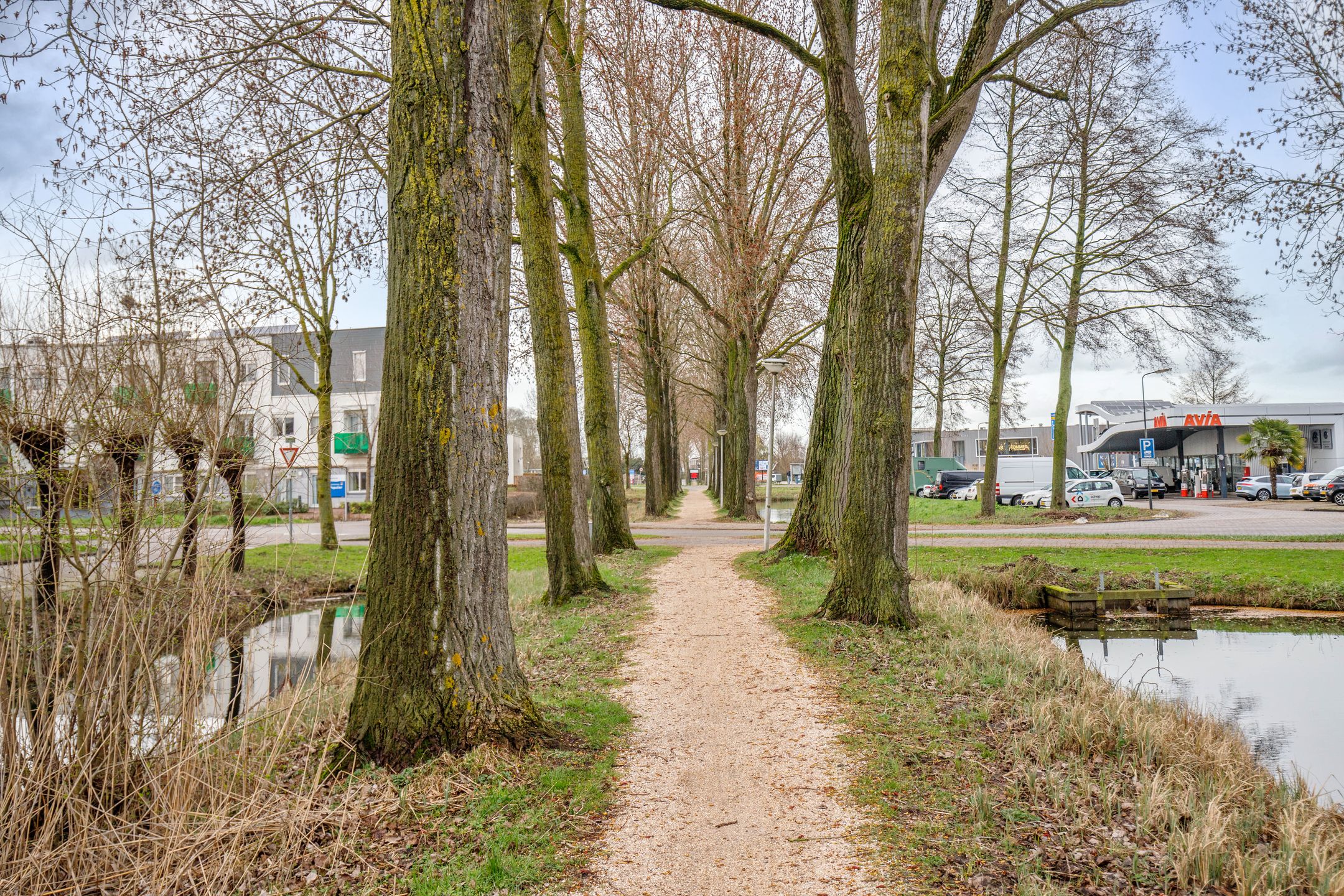 Foto 36 van Elzenstraat 11