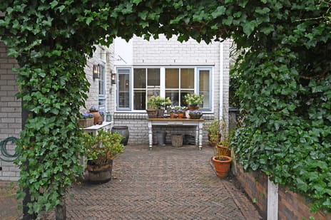 undefined main image