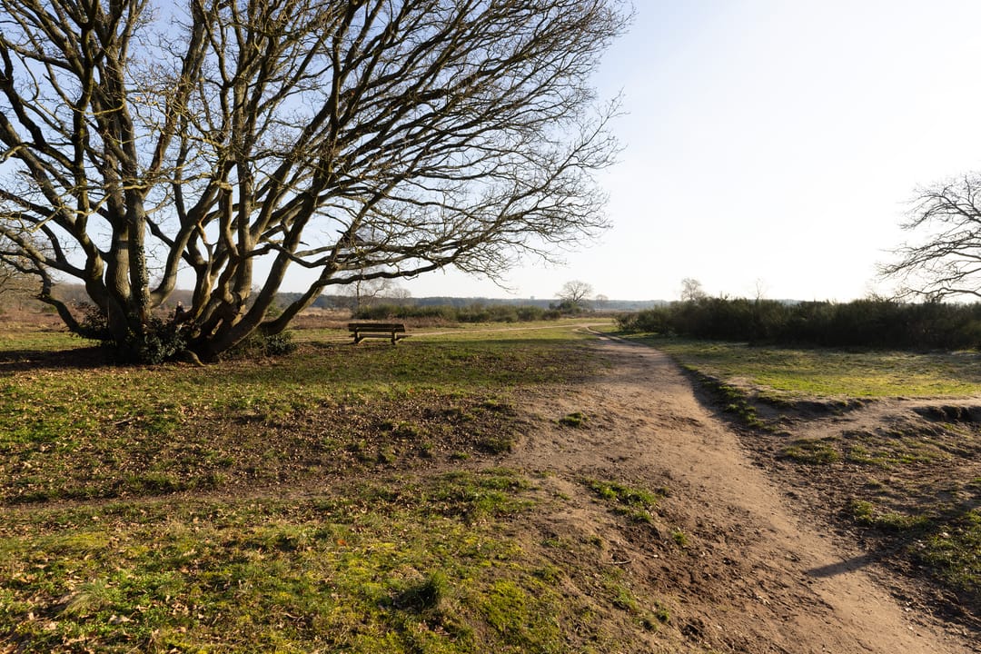 Foto 26 van Lange Heul 692