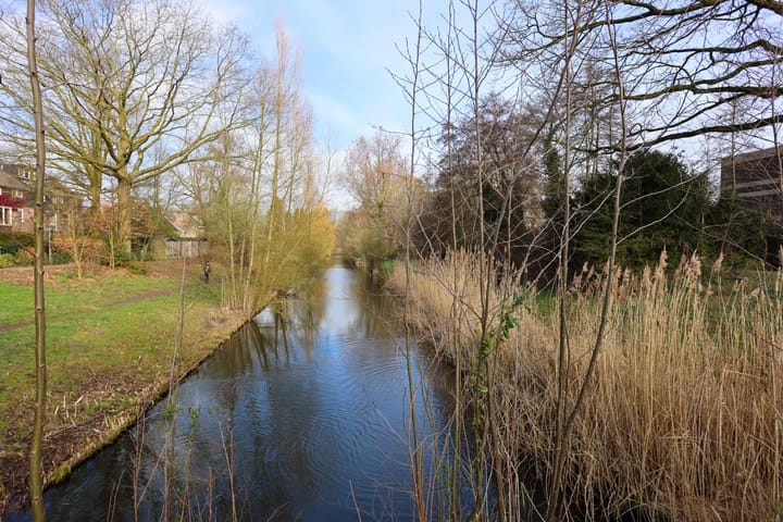 Photo 4 of Bloemhof 12