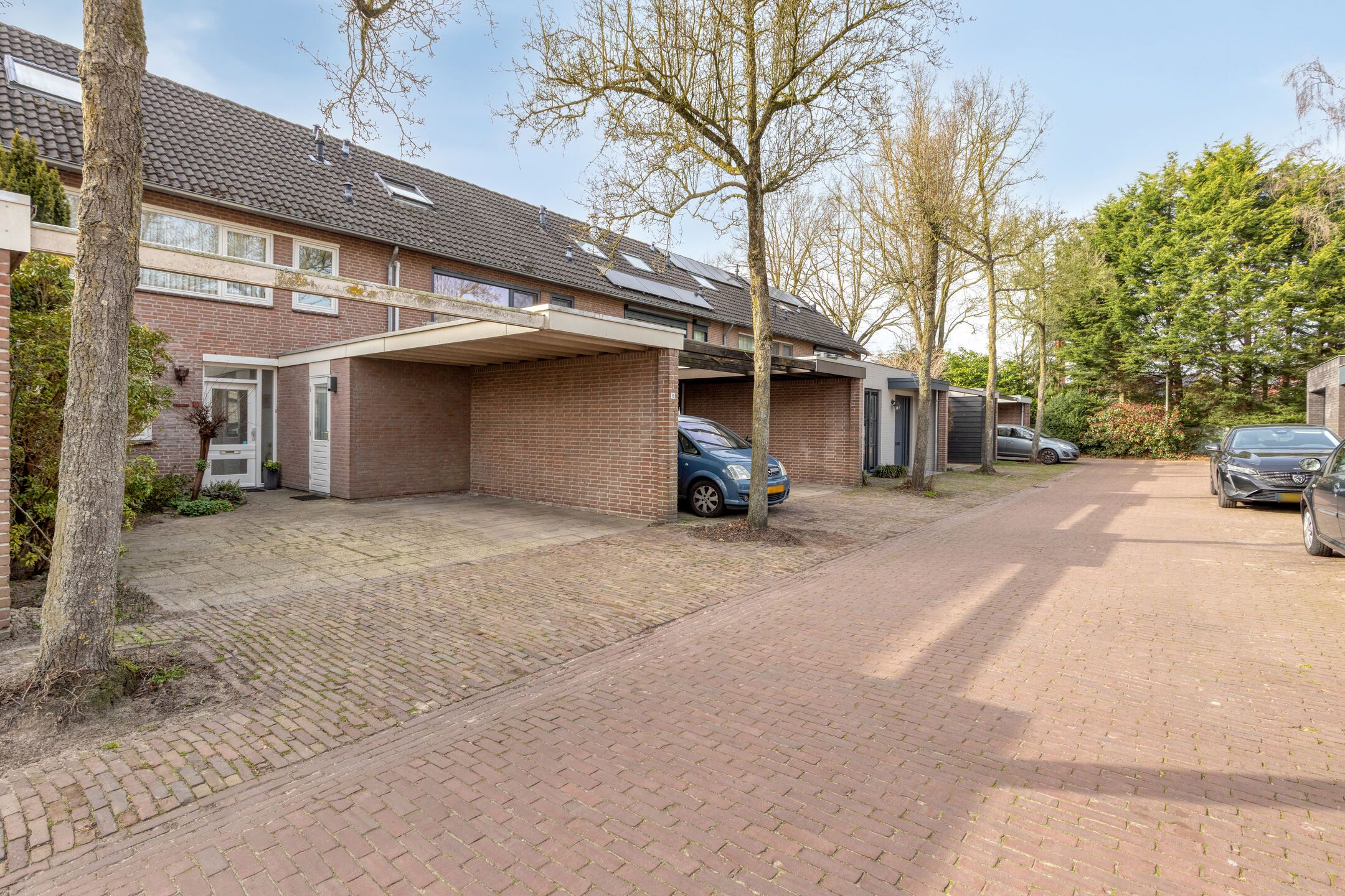 Photo 6 of de Vorster 8