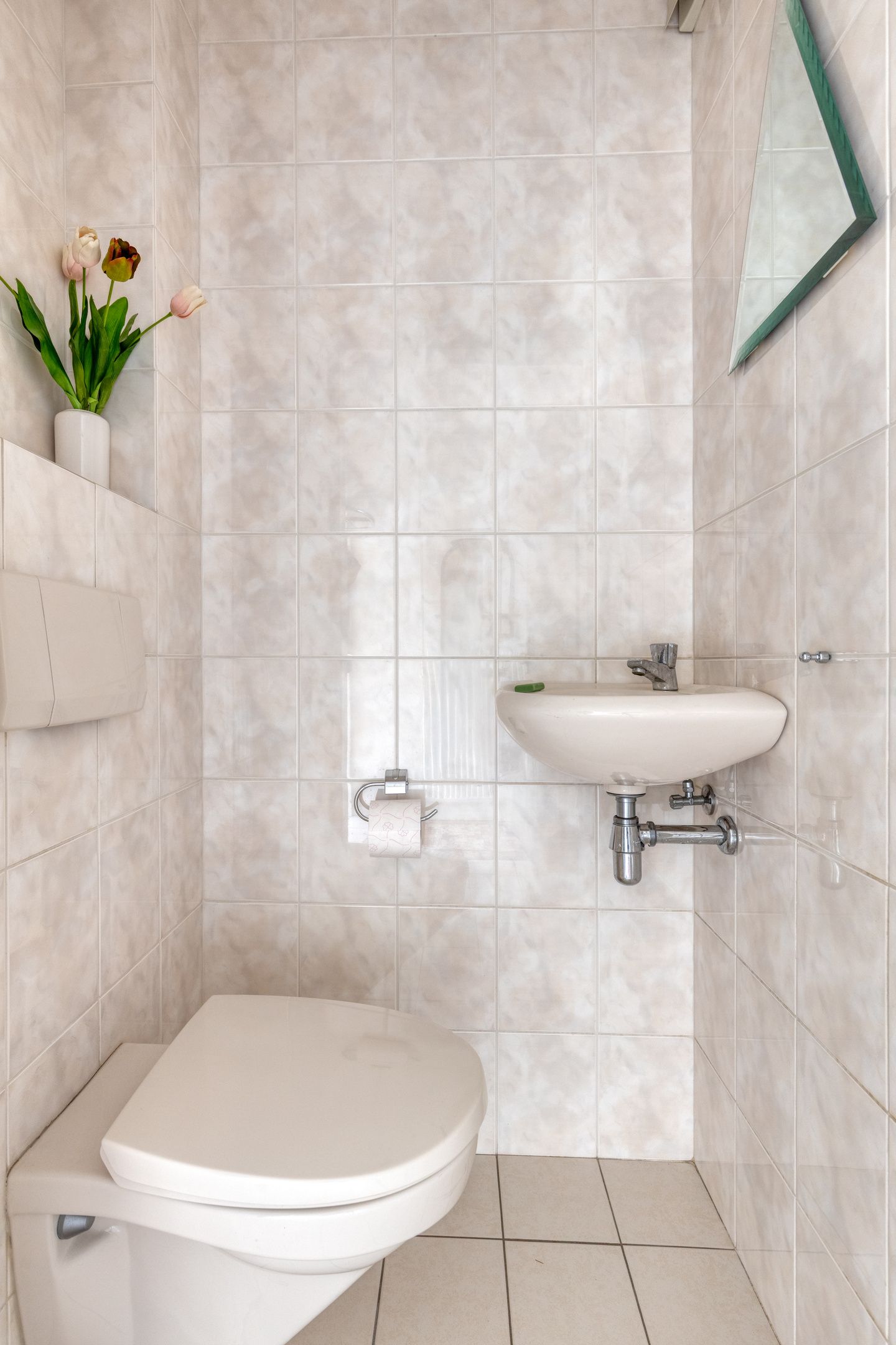 Photo 9 of de Vorster 8