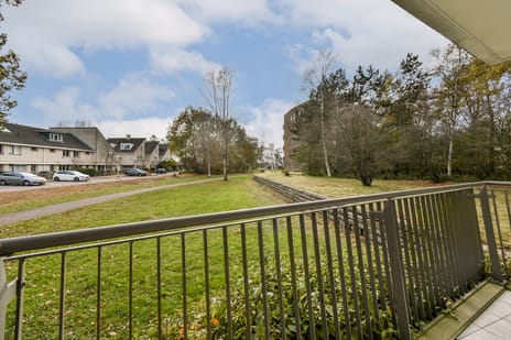 Anna Blamanlaan 19 tertiary image