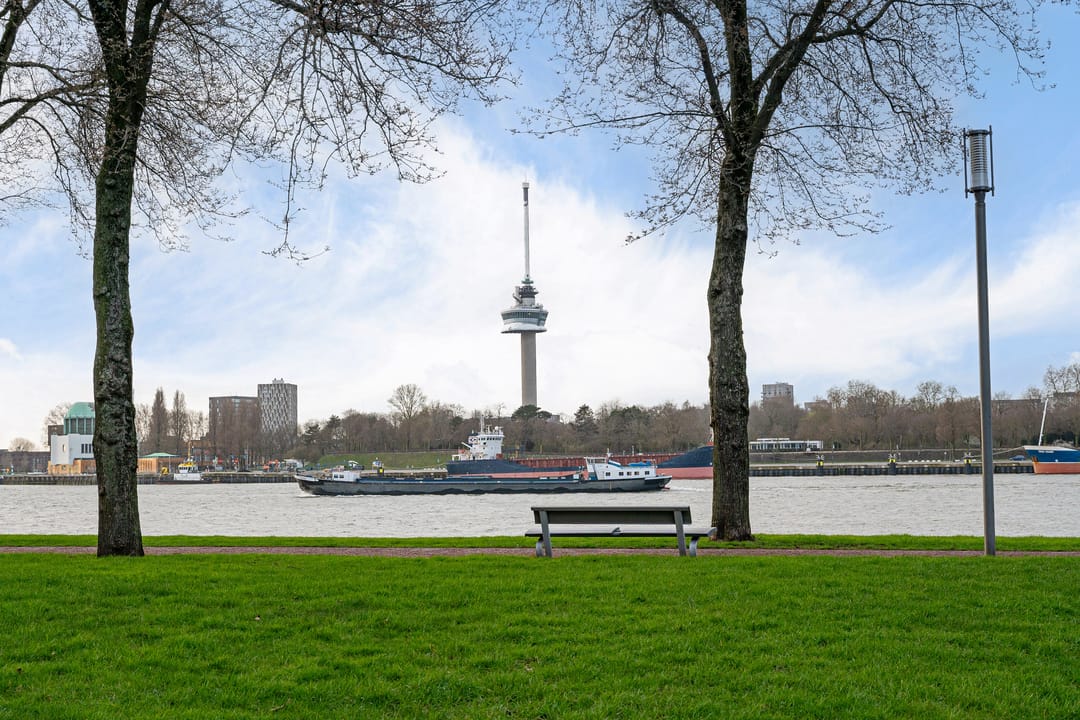 Foto 73 van Tolhuislaan 255