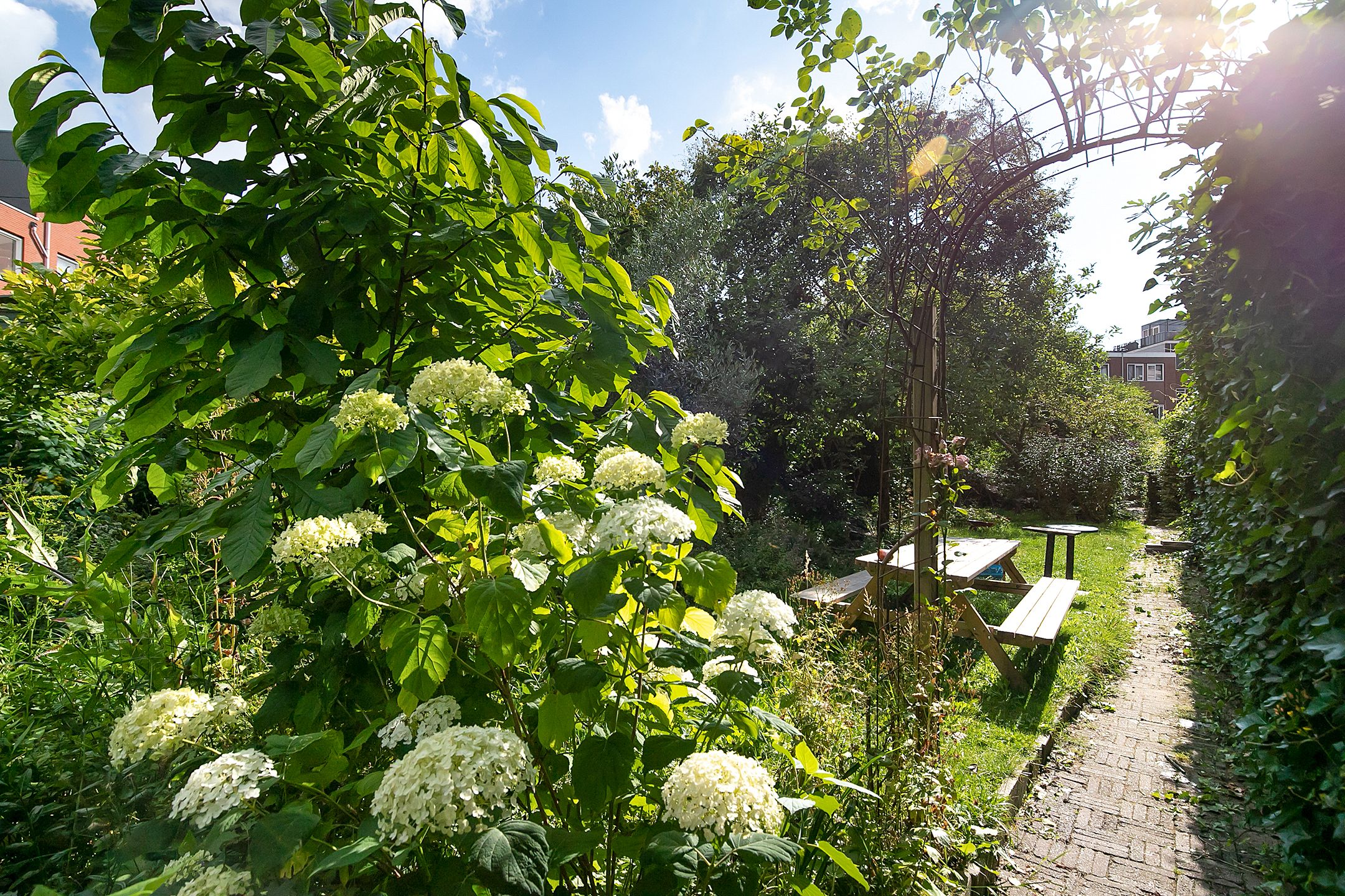 Foto 81 van Tolhuislaan 255