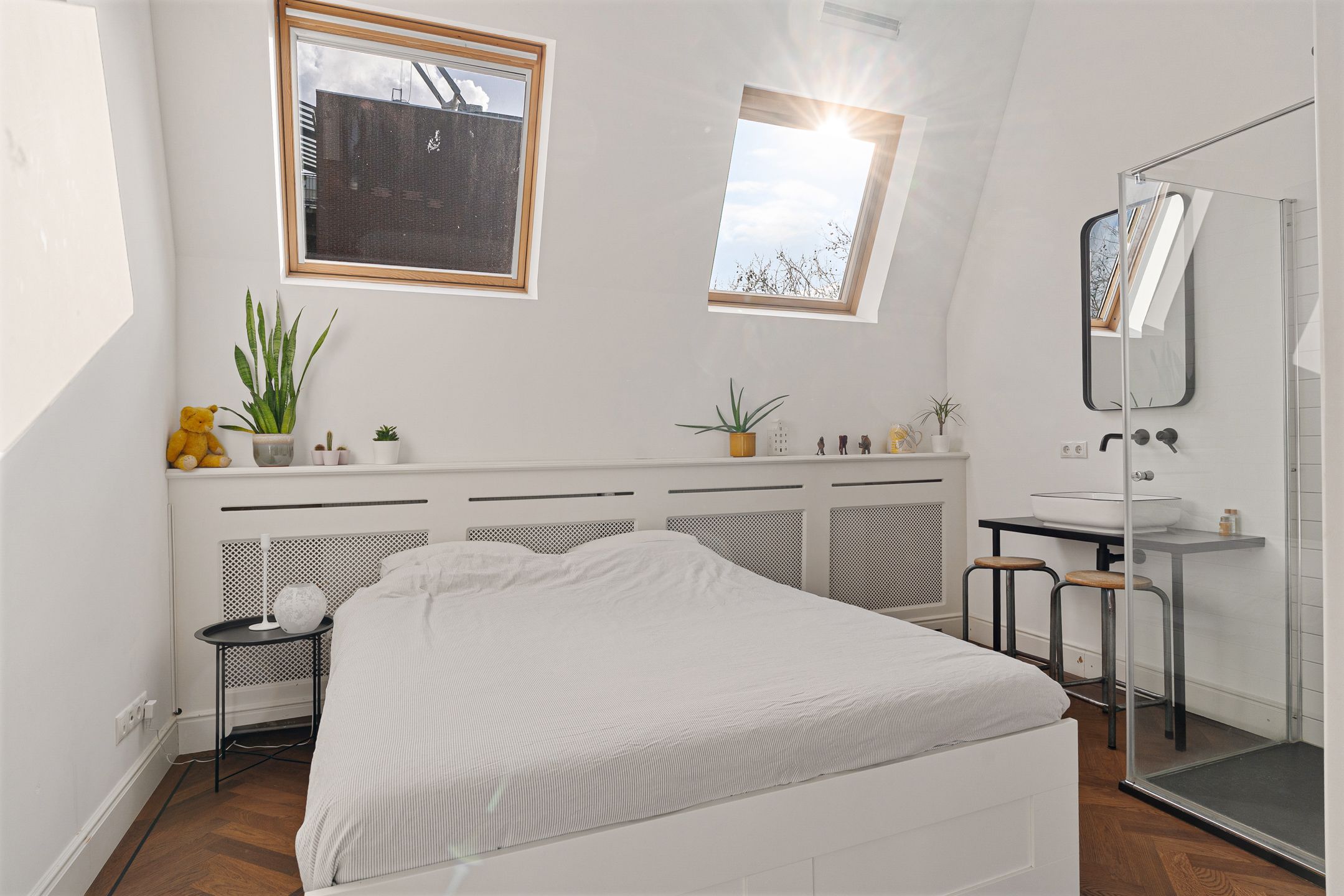 Foto 54 van Tolhuislaan 255