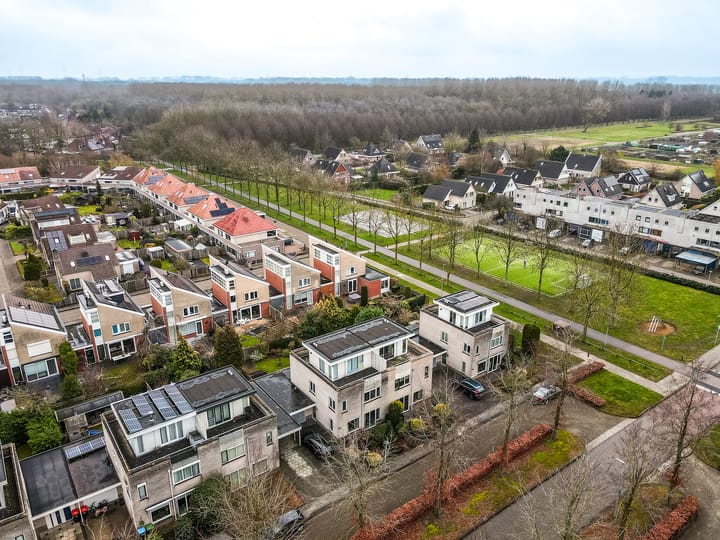 Beukenhof 167