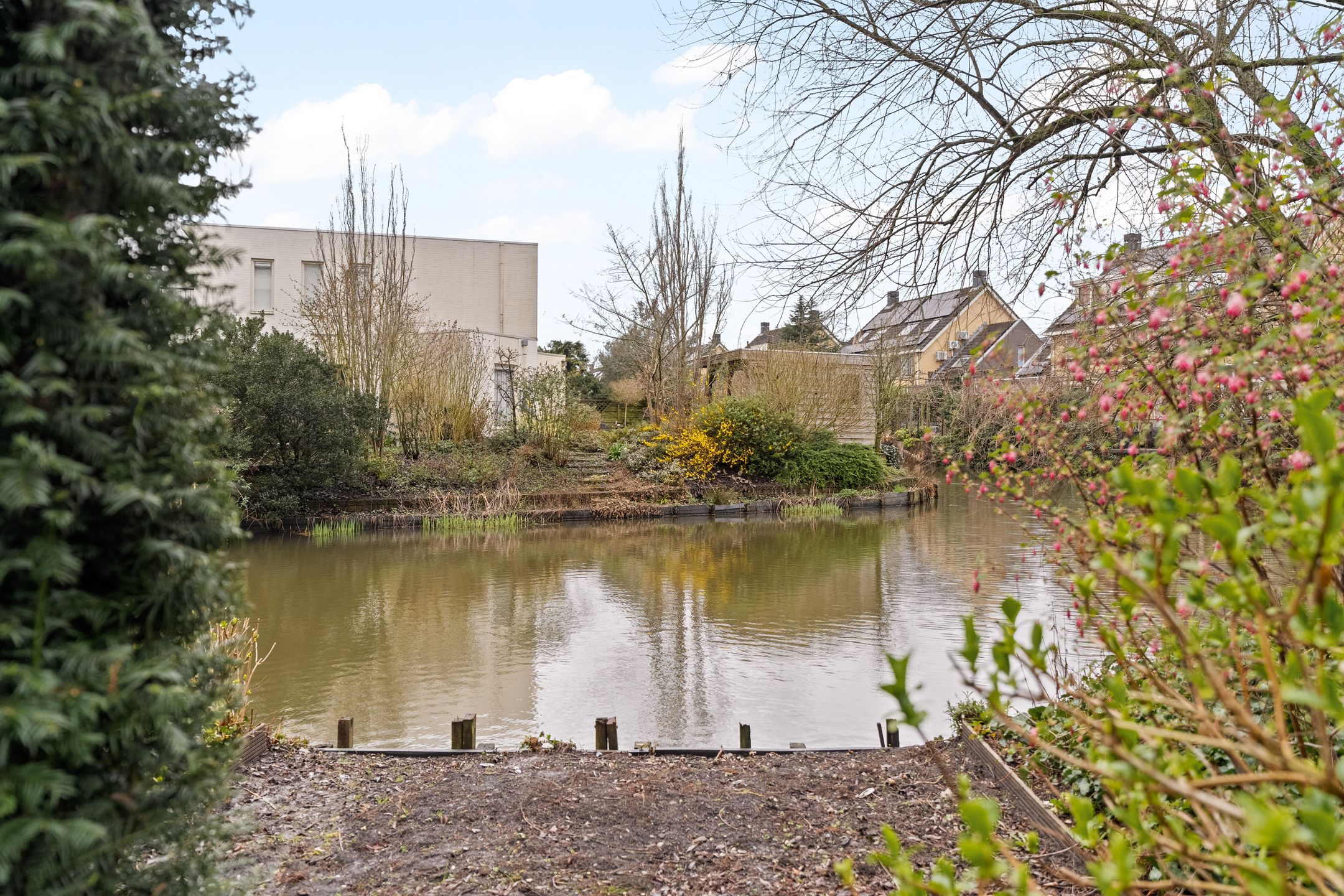 Foto 30 van Monteverdistraat 71