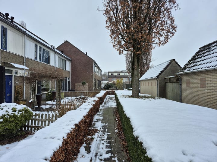 Photo 2 of Hendrik Consciencelaan 30