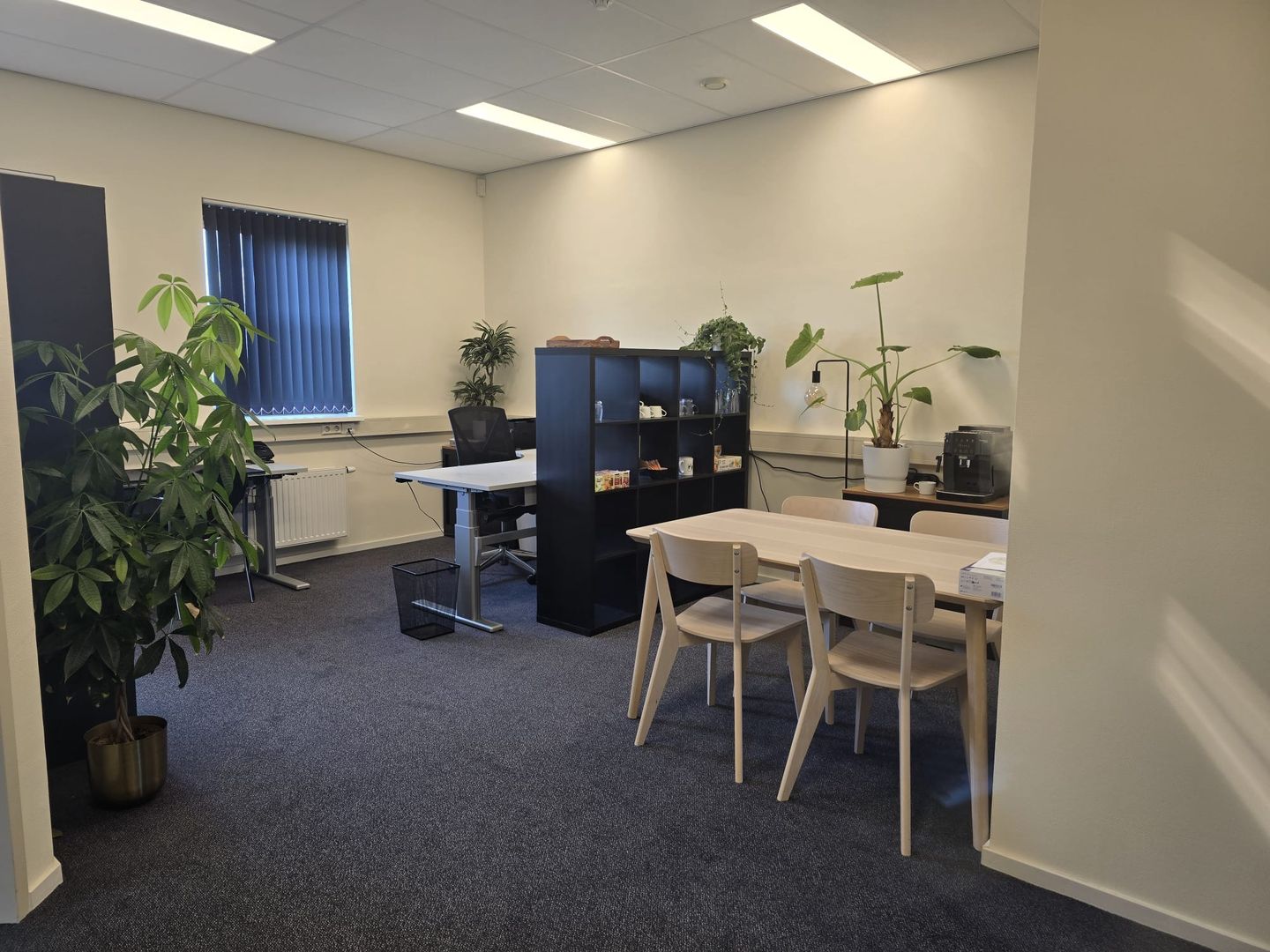 View photo 5 of Dopheide 8-c2