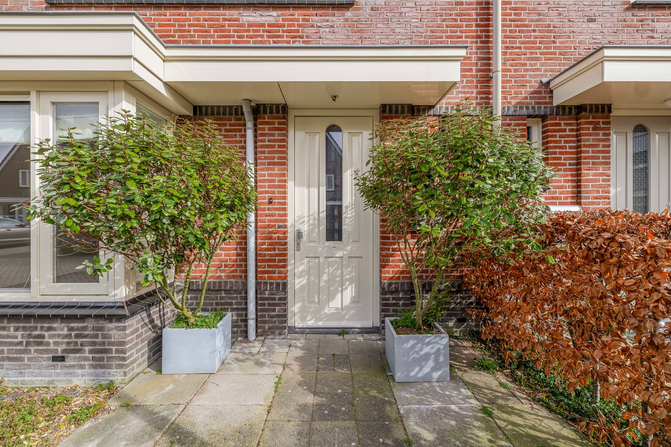 Foto 3 van Agneshove 12