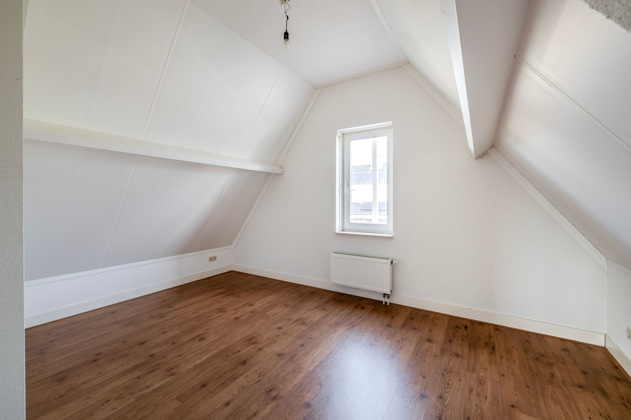 Foto 42 van Agneshove 12