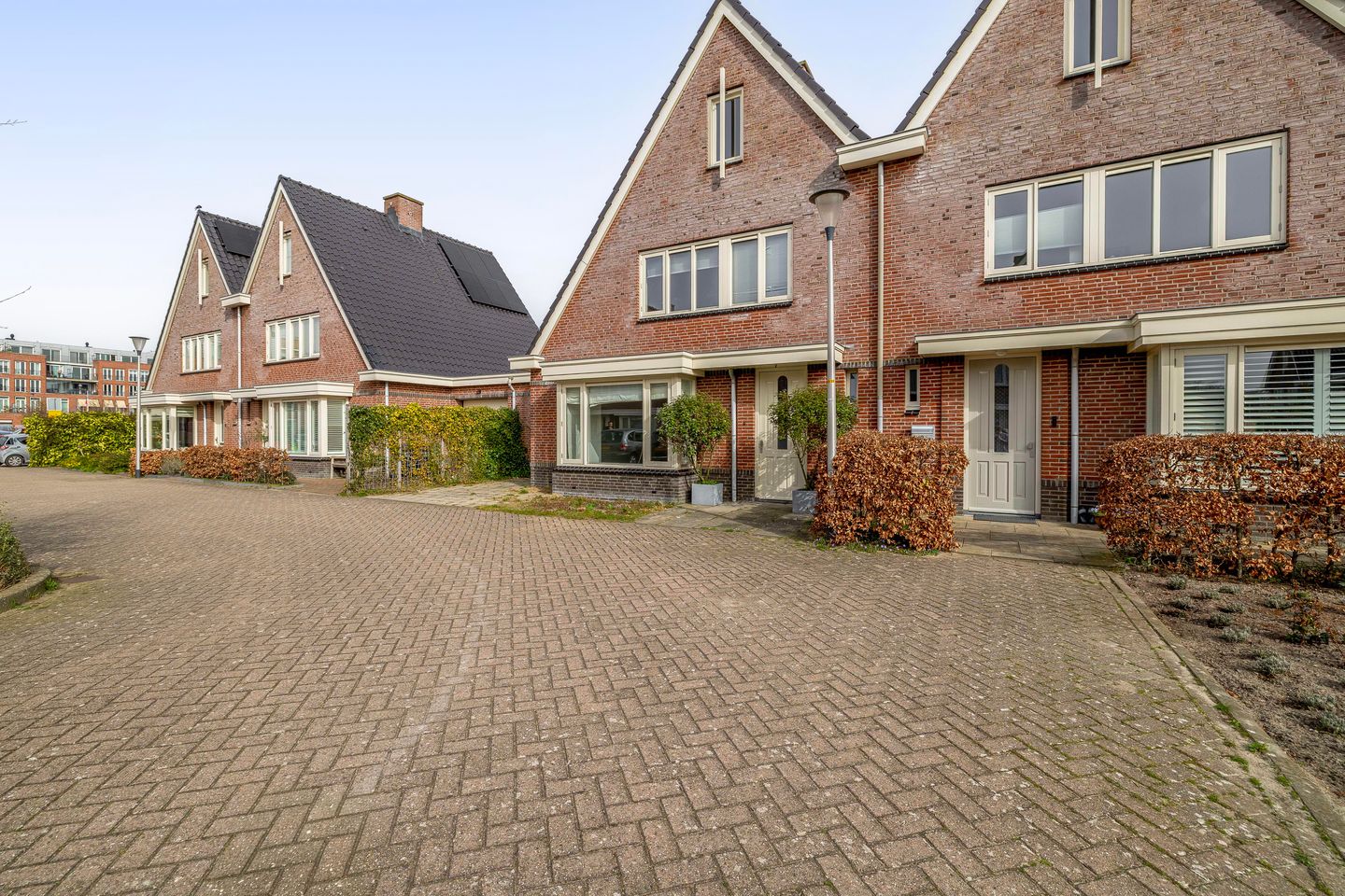 Foto 55 van Agneshove 12