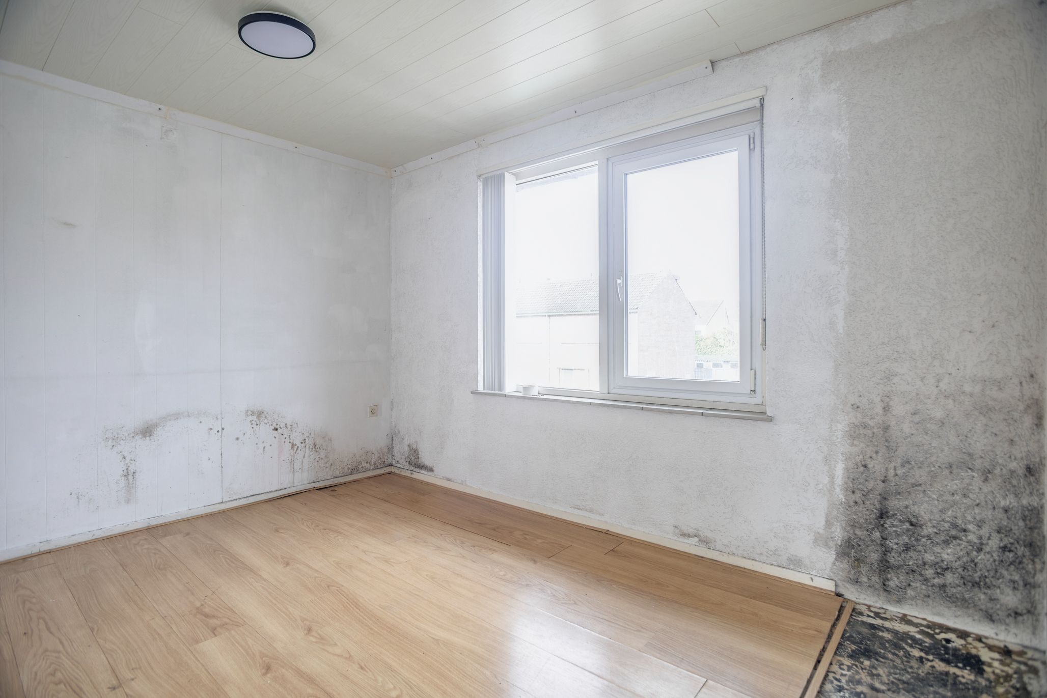 Photo 36 of Pastoor van Dunstraat 7