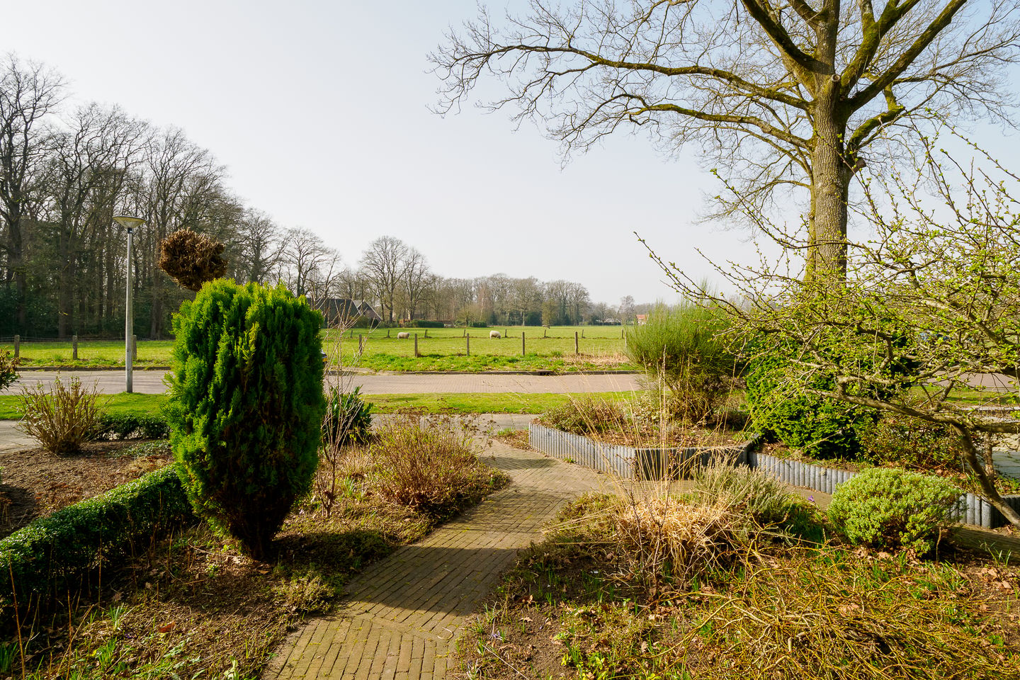Photo 44 of Doolhof 18