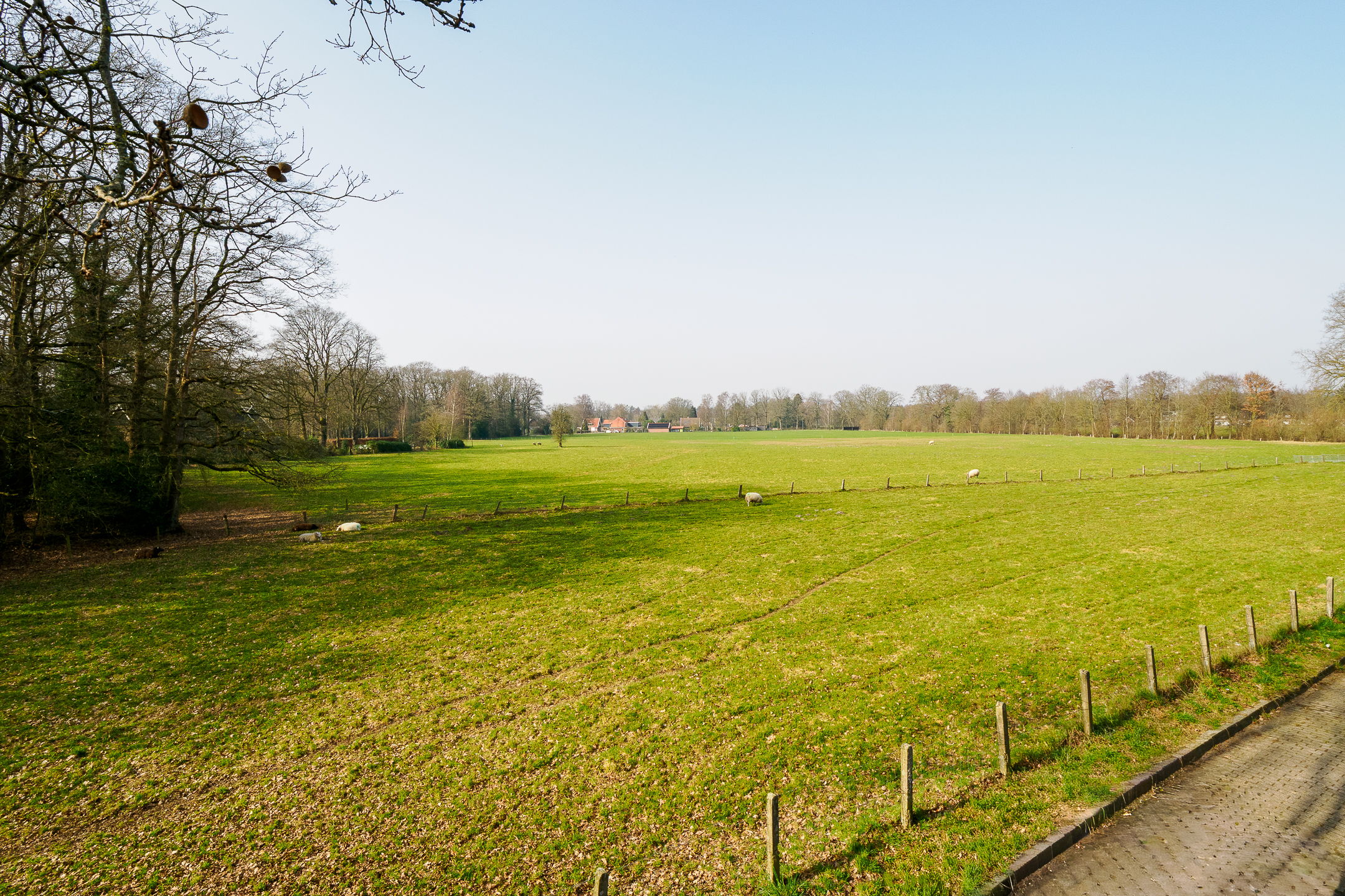 Photo 42 of Doolhof 18