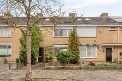 Pieter de Hooghstraat thumbnail