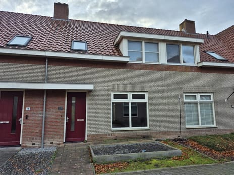 Distelveld thumbnail