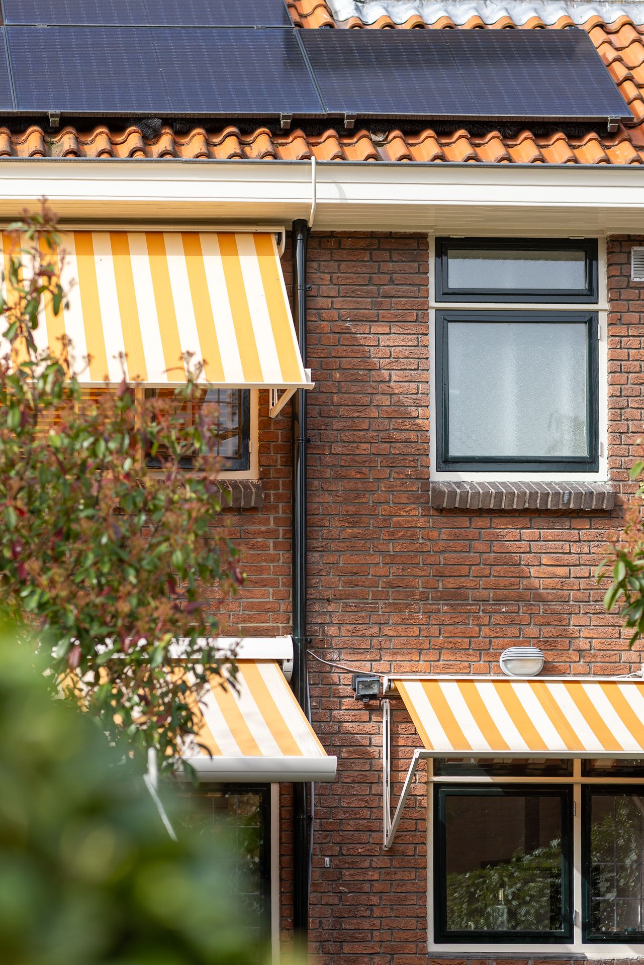 Foto 6 van Nachtegaallaan 10