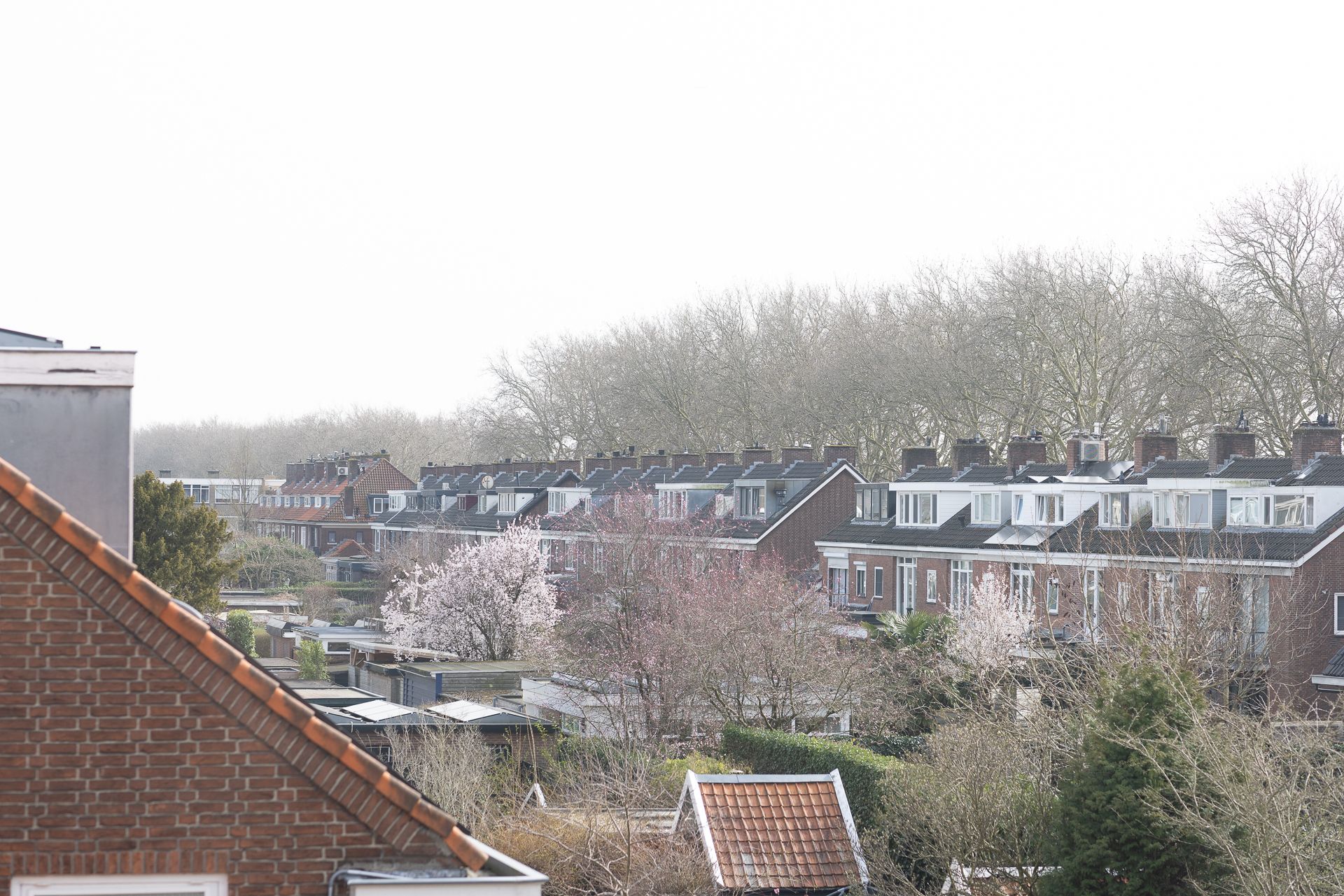 Foto 27 van Nachtegaallaan 10