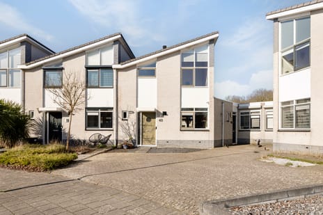 undefined main image