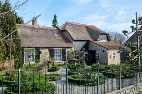 undefined main image