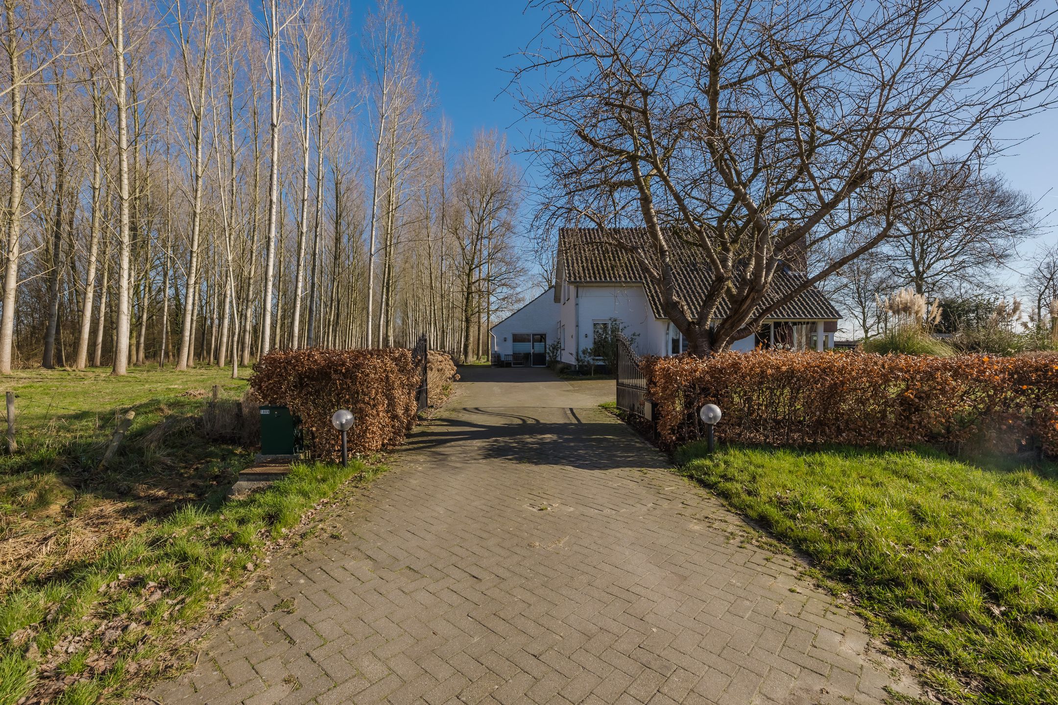 Foto 6 van Bestseweg 11