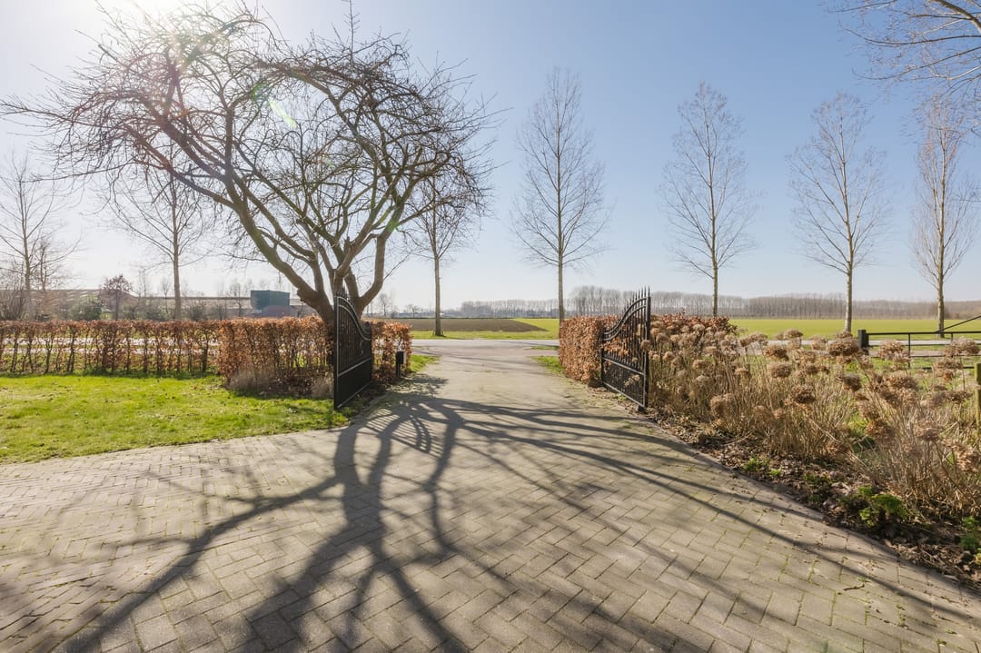 Foto 7 van Bestseweg 11