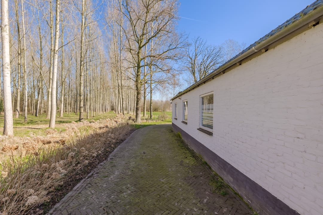 Foto 61 van Bestseweg 11