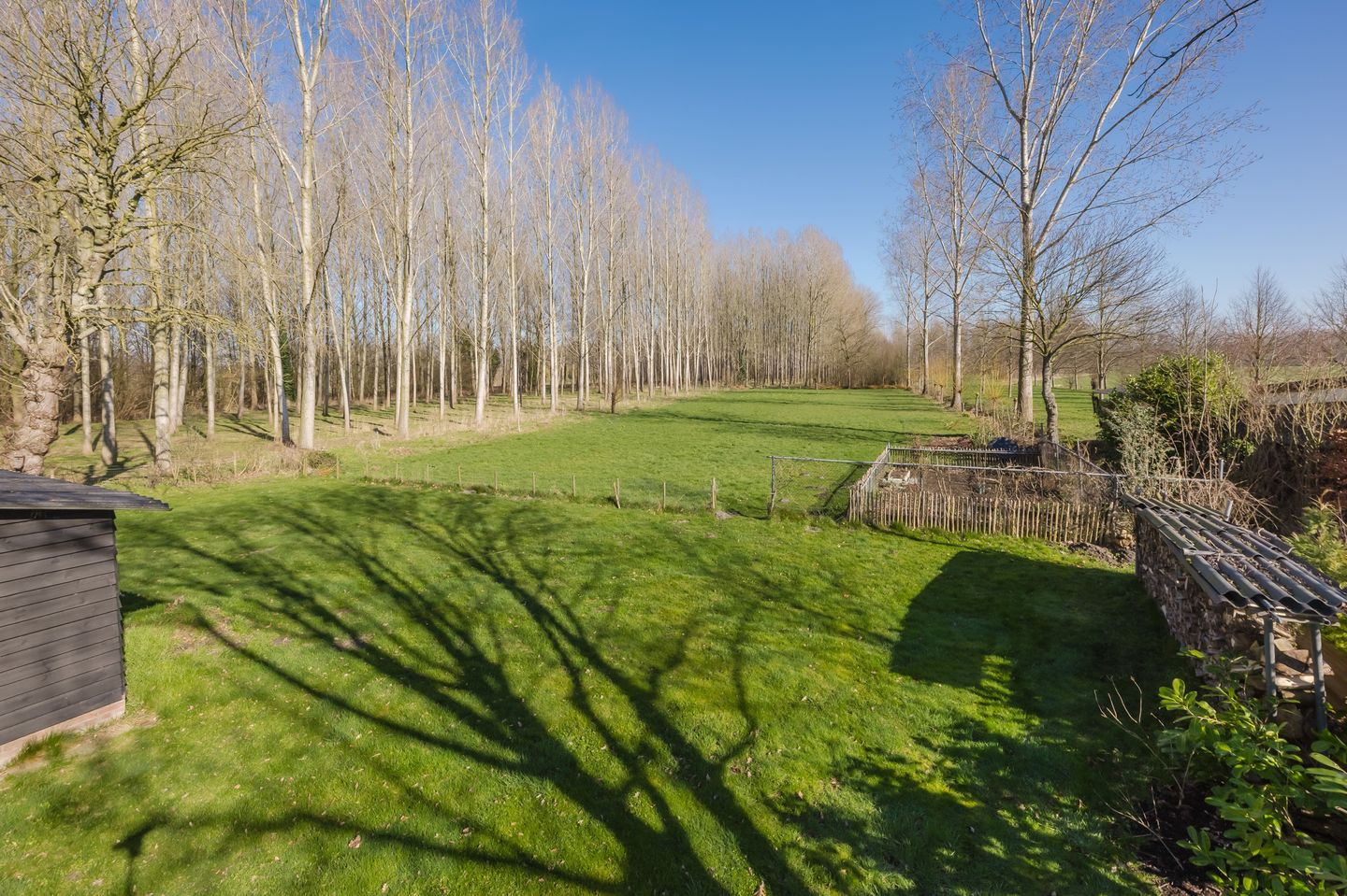 Foto 70 van Bestseweg 11