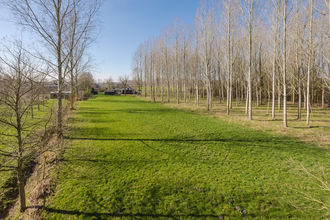 Foto 71 van Bestseweg 11