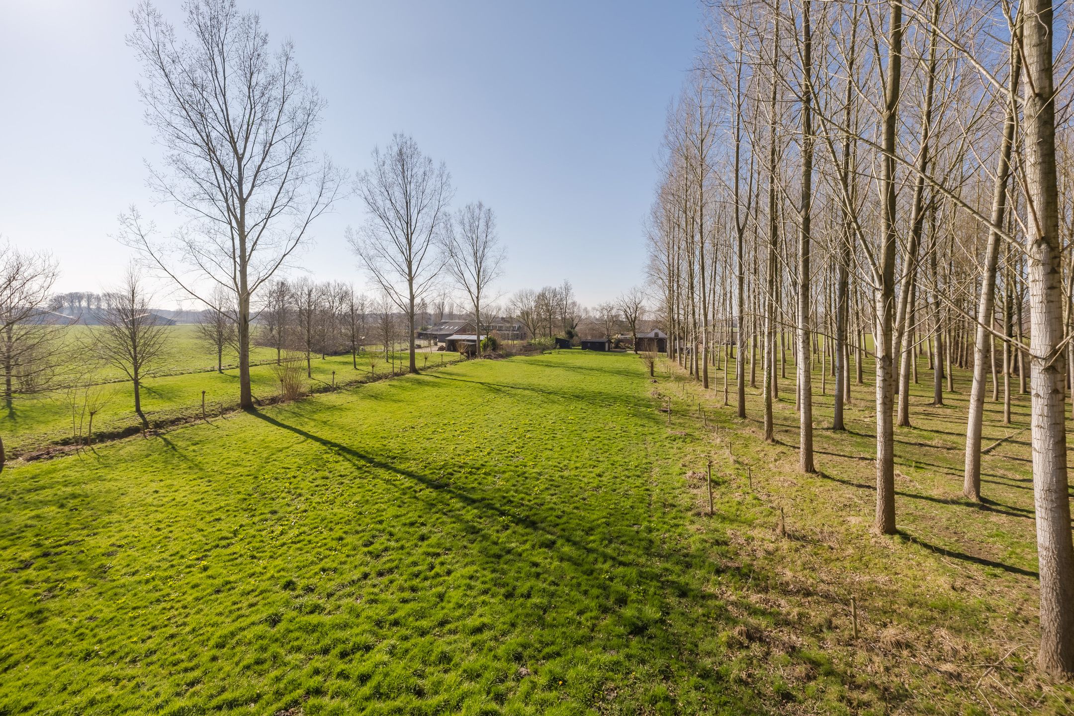 Foto 72 van Bestseweg 11