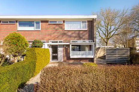 undefined main image