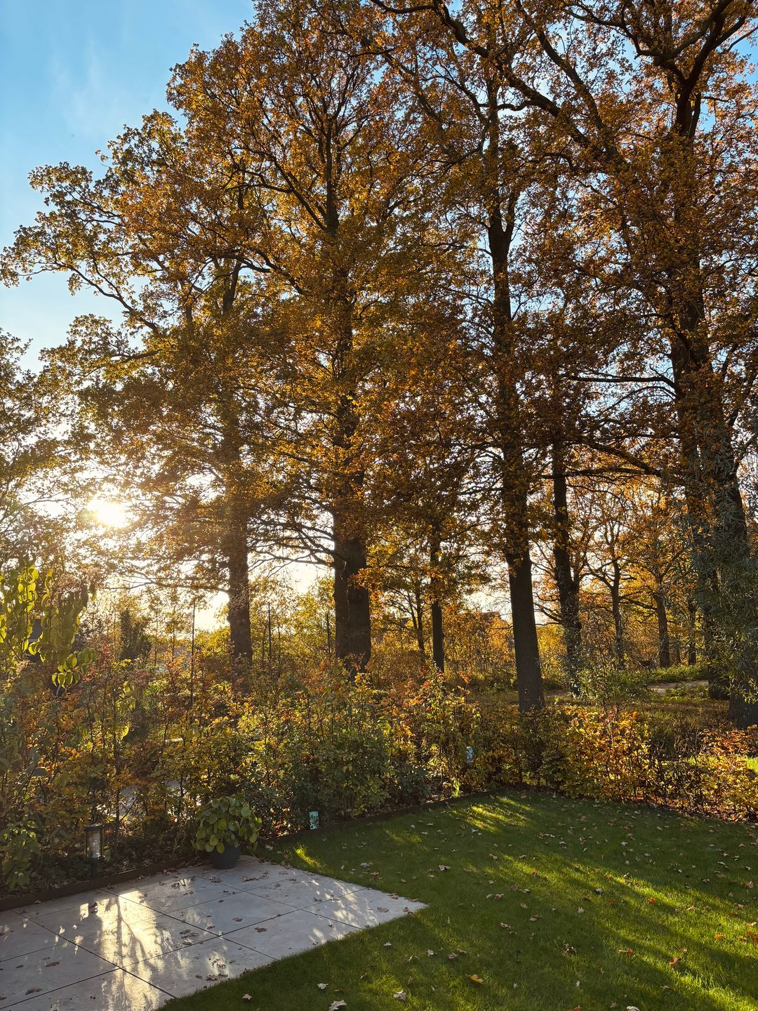 Foto 41 van Stevenshoeve 13